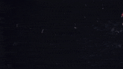 Team Usa Sport GIF by U.S. Ski & Snowboard Team
