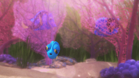ellen degeneres disney GIF by Disney/Pixar's Finding Dory