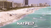 miami GIF by NATPE17
