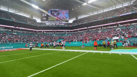 GIF by New England Patriots