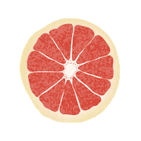 soniaorellanae colores naranja frutas soniart Sticker