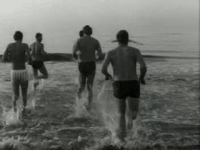 new year sea GIF by Europeana