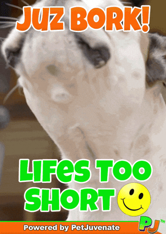 Dog Talk GIF by PetJuvenate - PJ