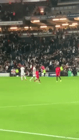 Young Liverpool Fan Storms The Pitch