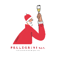 pellegrinispa pellegrinispa pellegrini spa Sticker