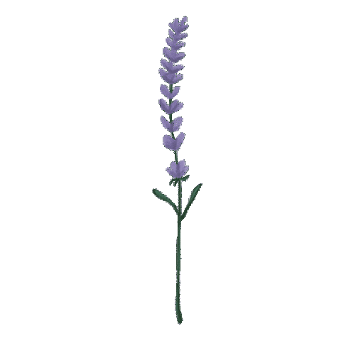 Virtual Bouquet Sticker by Hello Flowers！