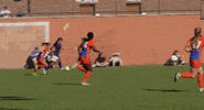 nwsl GIF by Orlando Pride