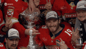 Matthew Win GIF by NHL