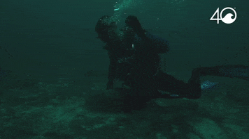 Environment Osborne GIF by 4ocean