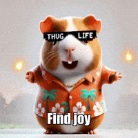 Wisdom Delight GIF by Guinea Gambino
