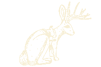 Jackalope Hifromsd Sticker by Travel South Dakota
