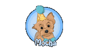 Mocha Sticker