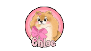 Rinoa Sticker