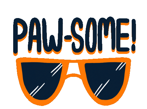 kayleathers giphyupload awesome sunglasses shades Sticker