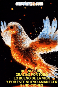 Gracias Amigos GIF by Murcianys LLC