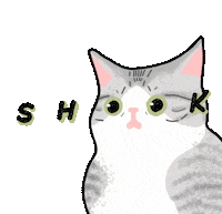 Shocked Cat Sticker