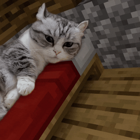 SingNO2 giphyupload komaru minecraft cat GIF