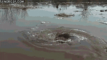 Water Whirlpool GIF