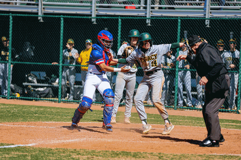 Baseball GIF by TCABB