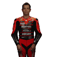 Shake It Off Danilo Petrucci Sticker by WorldSBK