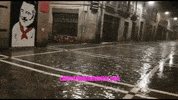 Lluvia Tormenta GIF by la libreria de la estafeta