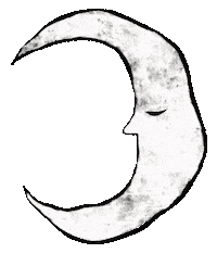 Wink Moon Sticker