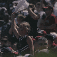 South Carolina Gamecocks GIF by gamecocksonline