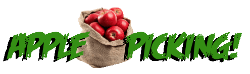 Apple Pie Apples Sticker