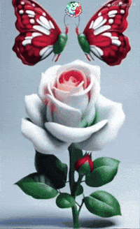 Amigos Familia GIF by Murcianys LLC