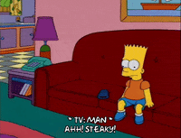 homer simpson episode 3 GIF