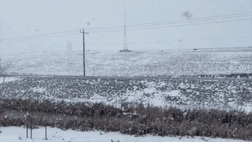 Snowfall Blankets Pullman Landscape