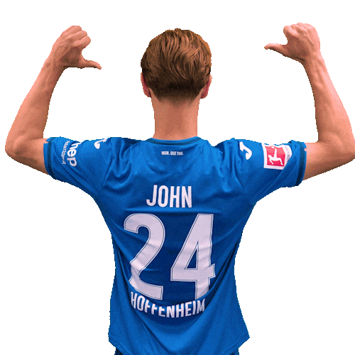 Sport Bundesliga Sticker by TSG Hoffenheim