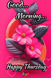Happy Morning GIF by Murcianys LLC