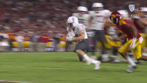 Touchdown Max GIF by Pac-12 Network
