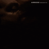 The Leech Christmas GIF by Arrow Video