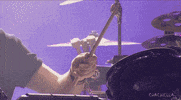 GIF by Coachella