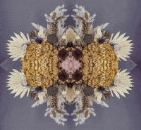 Art 3D GIF