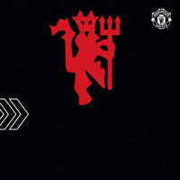 Red Devils Sport GIF by Manchester United