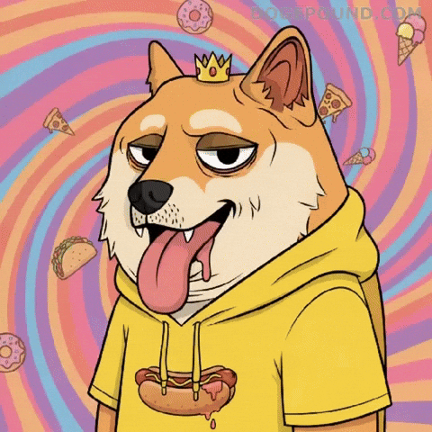 Hungry Shiba Inu GIF by Doge Pound