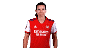 Tobin Heath Football Sticker by Arsenal