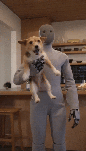 Trending Vibe GIF by Darwin