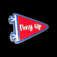 Pony Up Flag GIF by Pinned Pins