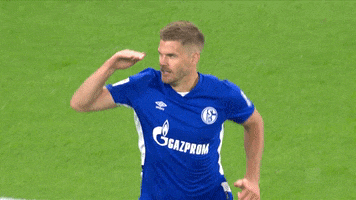 Football Soccer GIF by FC Schalke 04