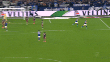 Football Soccer GIF by FC Schalke 04