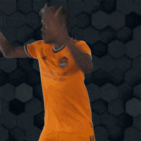 Lets Go Football GIF by Houston Dynamo FC