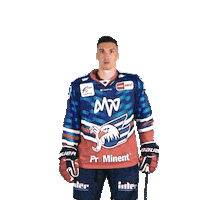 Eishockey Sticker by Adler Mannheim