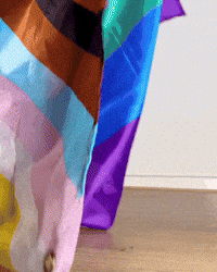 Proud Kitty GIF