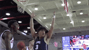 St Johns Sjubb GIF by St. John's Red Storm