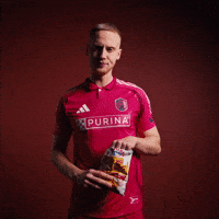 Timo Baumgartl GIF by St. Louis CITY SC