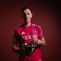 Stl GIF by St. Louis CITY SC